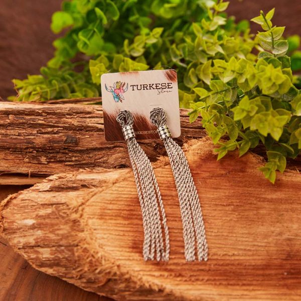 Brinco Silver Fringes - Imagem 2
